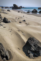 Oregon Coast