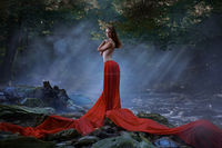 Forest photoshoot mark de roo