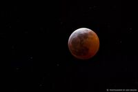 BLOOD MOON