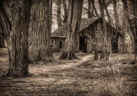 The Barn