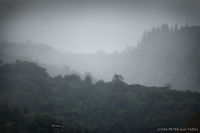 Roundtop Ridge Mist