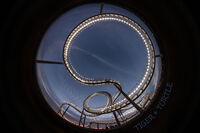 Tiger and Turtle