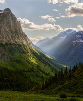 Sunbeams