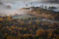 Foggy Sunrise on an Arkansas Farm