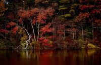Autumn Landscapes...
