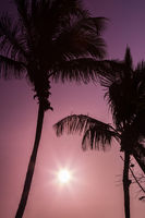 Two Palms Naples