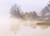 Foggy landscape