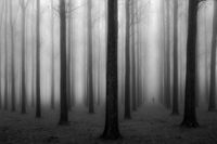 In a fog