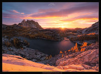 Enchanting Light 