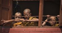 Young Monks