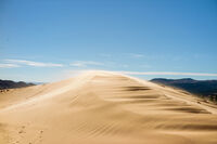 The Motion of the Pink Sand Dunes