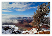 Last Layering of Winter
