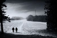 Winter/ Swabian Alb / Germany