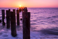 Pelican Sunset Naples