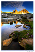 The High Sierra