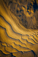 Fleeting Imprints