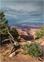 Buck Canyon
