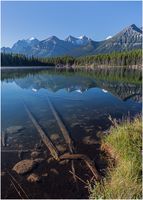 Herbert Lake