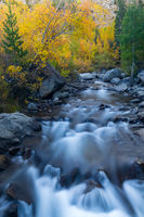Bishop Creek