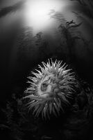 10 Fathoms