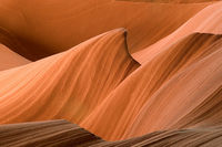 Antelope Wave