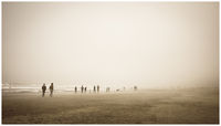 Ocean Beach