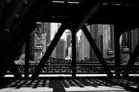 Chicago shadows