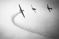the dogfight