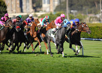 Golden Gate Fields 2009 D3x 200 f2.