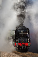 Steam power