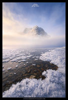 From the Mists