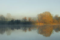Morgenlicht