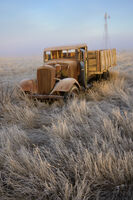 Out to pasture?