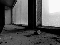 Windowsill 3 of 3
