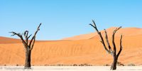 Sossu Vlei, Namibia