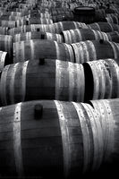 Abandoned Barrels