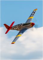 P51 Mustang Red Tail
