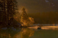 Early Morning down at the Lake