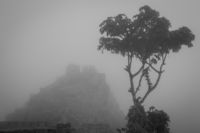 Macchu Pichu Fog