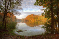Autumn Splendor