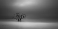 Isolation
