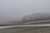 Cold Morning