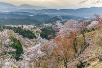 Mt. Yoshino
