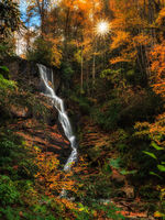Autumn Falls
