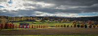 Rural Light