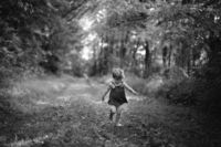 To The Meadow We Go