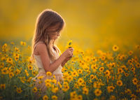 Golden Daydreams