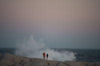 The spray
