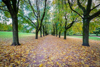 Autumn-Oslo
