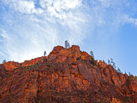 Zion Rim